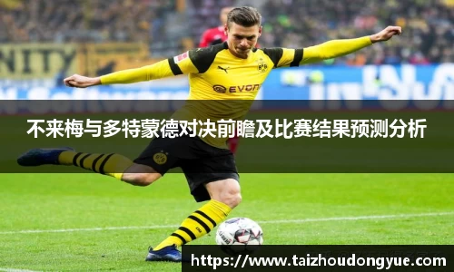 不来梅与多特蒙德对决前瞻及比赛结果预测分析